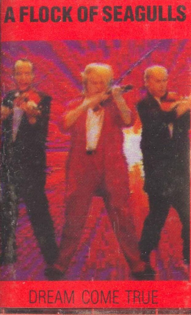A Flock of Seagulls